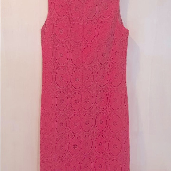 Pretty in Pink Lace Fitted Dress - Picture 2 of 3